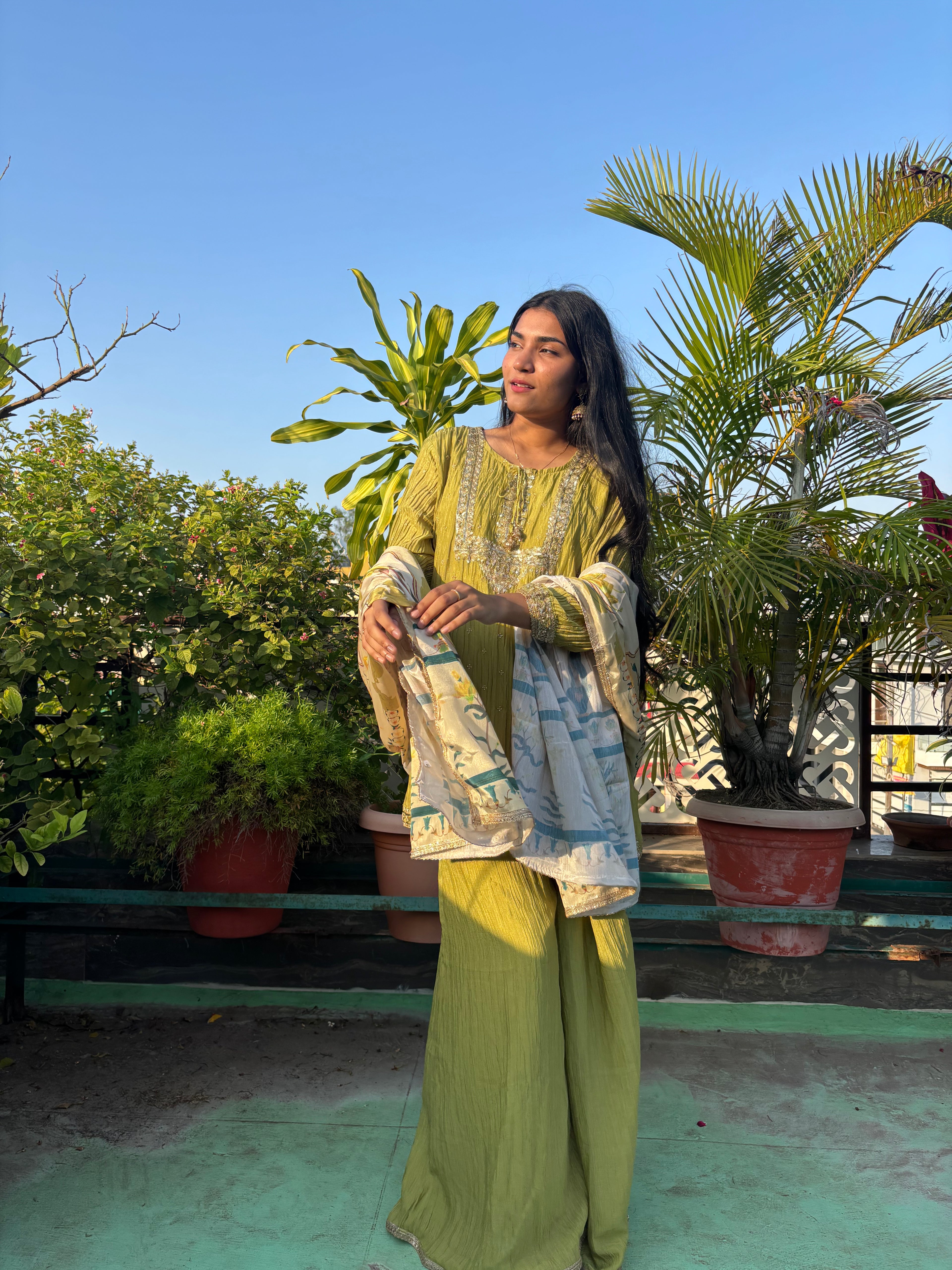 Pista Green Sharara Set